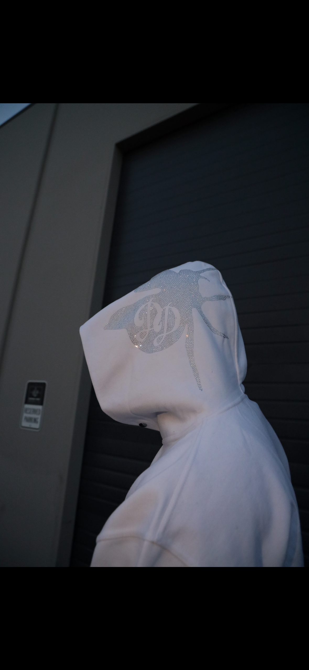 Dapper Spider Hoodie 🕸️ (cocaine)